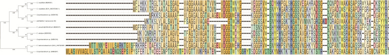 Fig 6