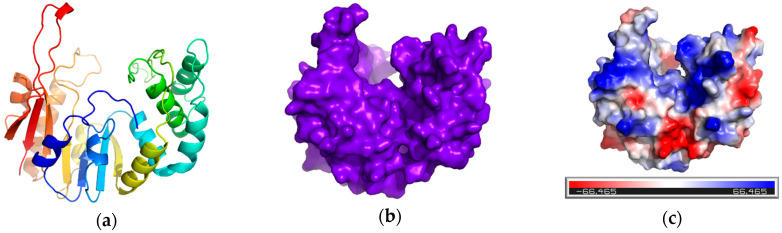 Figure 7