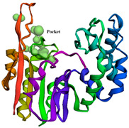 Figure 13