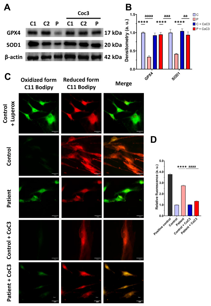 Figure 12