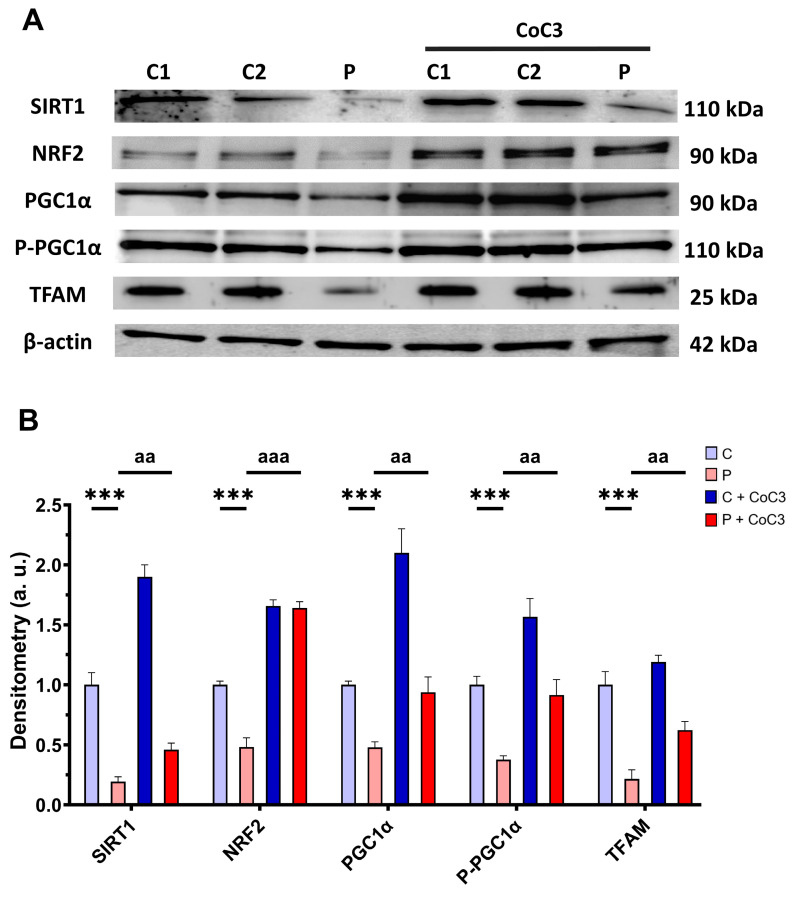 Figure 17