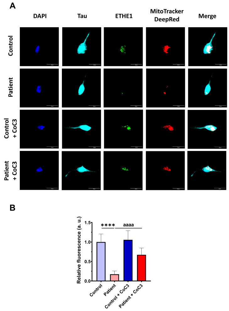 Figure 19