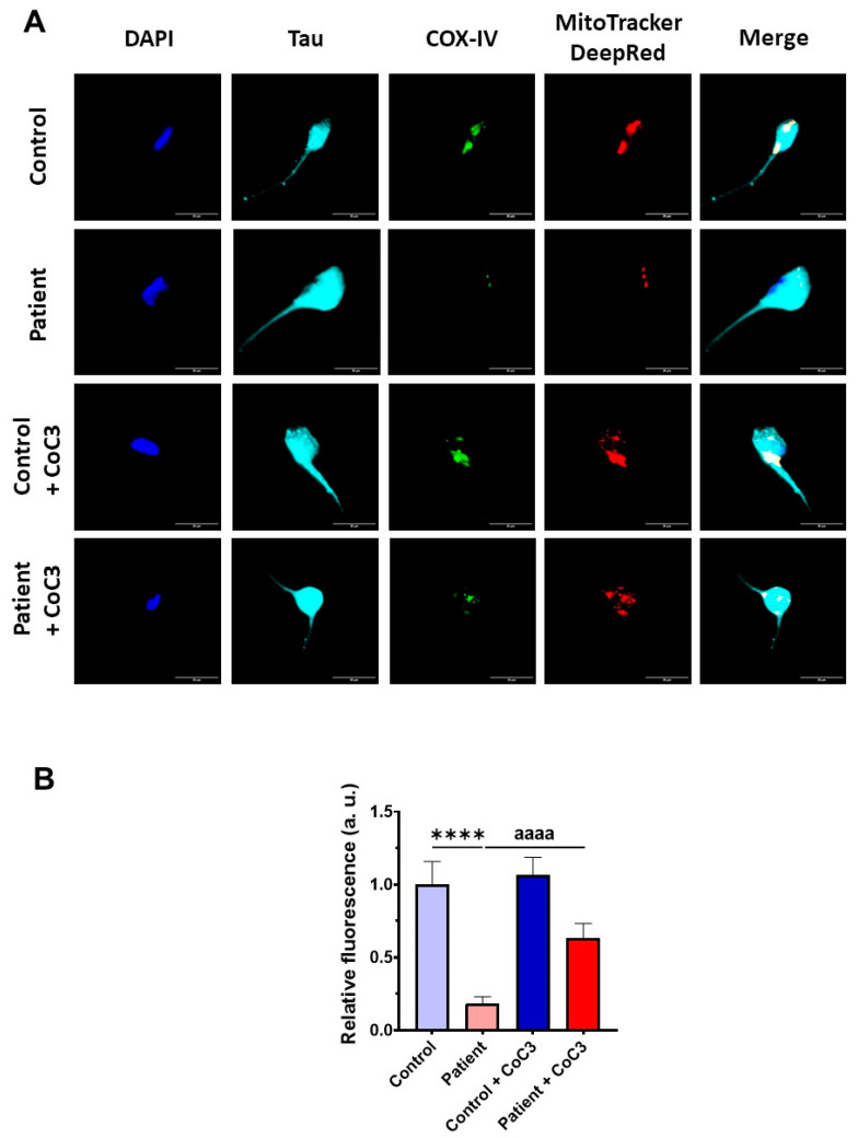Figure 20