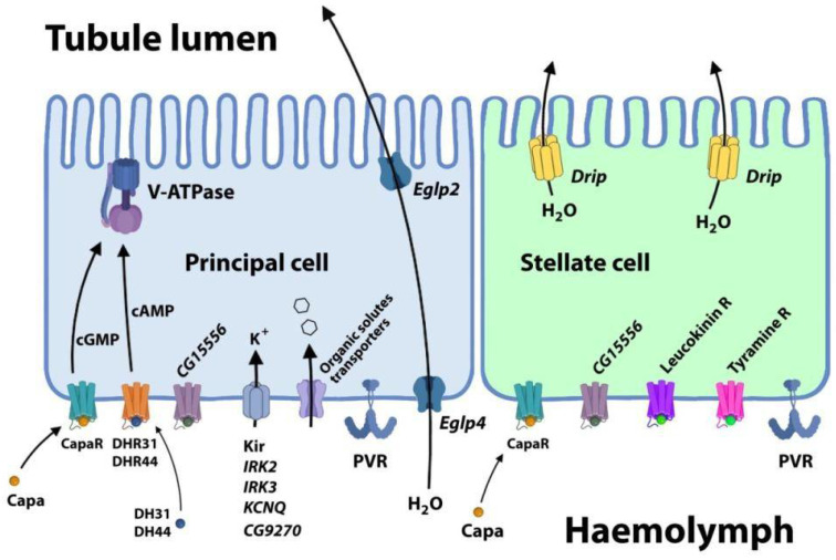 Figure 10