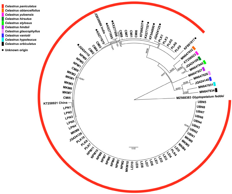 Figure 4