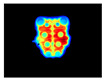 Figure 39