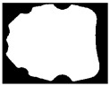 Figure 45