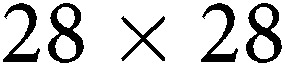 Figure 29