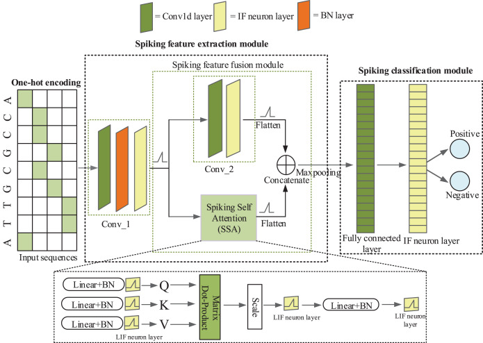 Figure 18