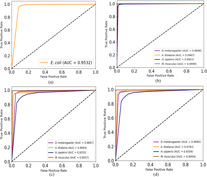 Figure 20