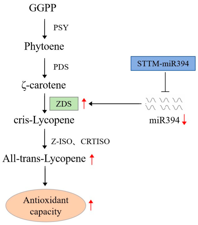 Figure 10