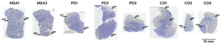 Figure 12