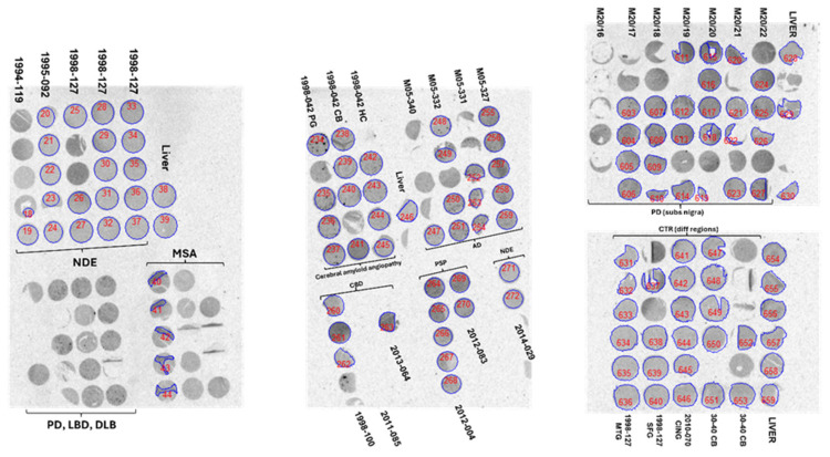 Figure 13