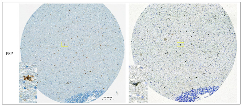 Figure 19