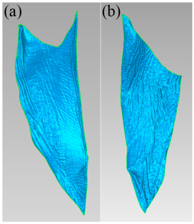 Figure 5