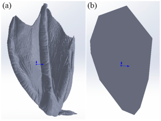 Figure 6