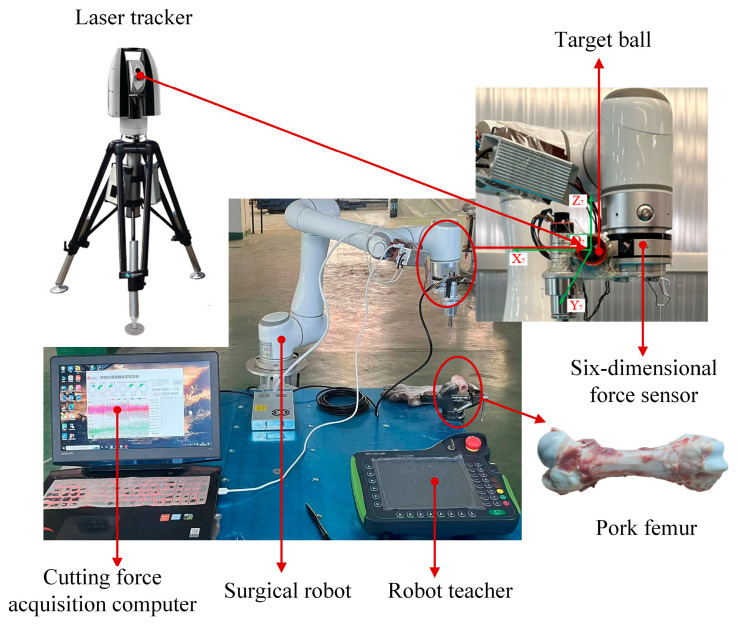 Figure 13