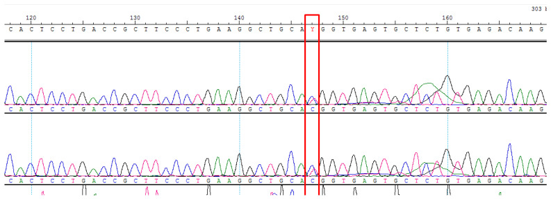Figure 5