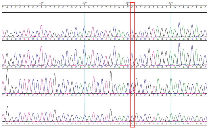 Figure 7