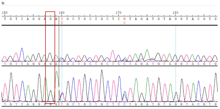 Figure 9