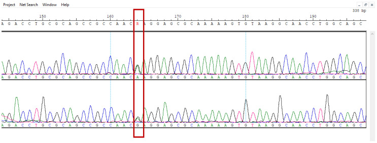 Figure 10