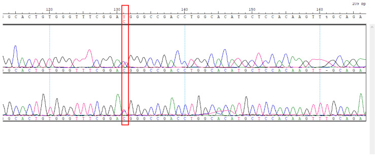 Figure 12