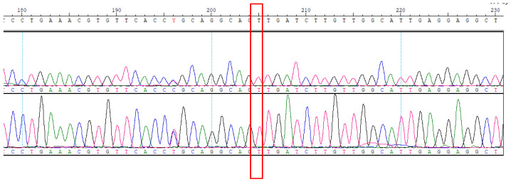 Figure 13