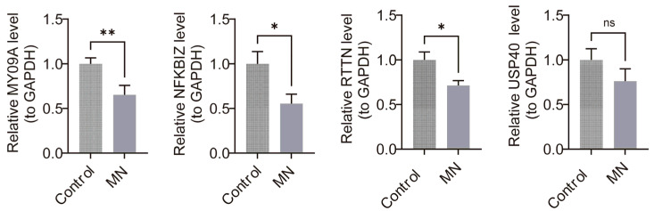Figure 11