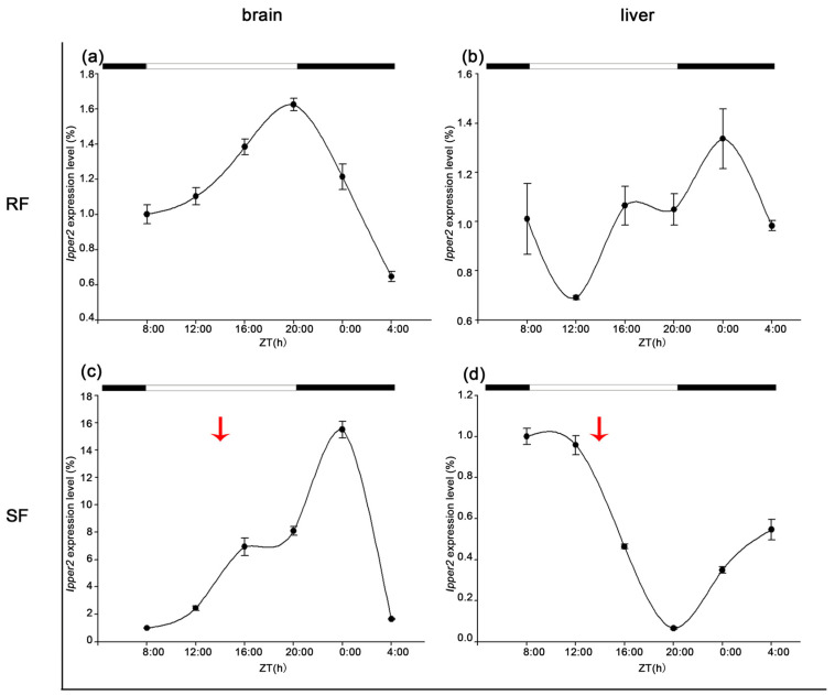 Figure 9