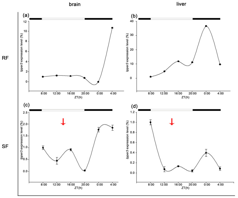 Figure 11