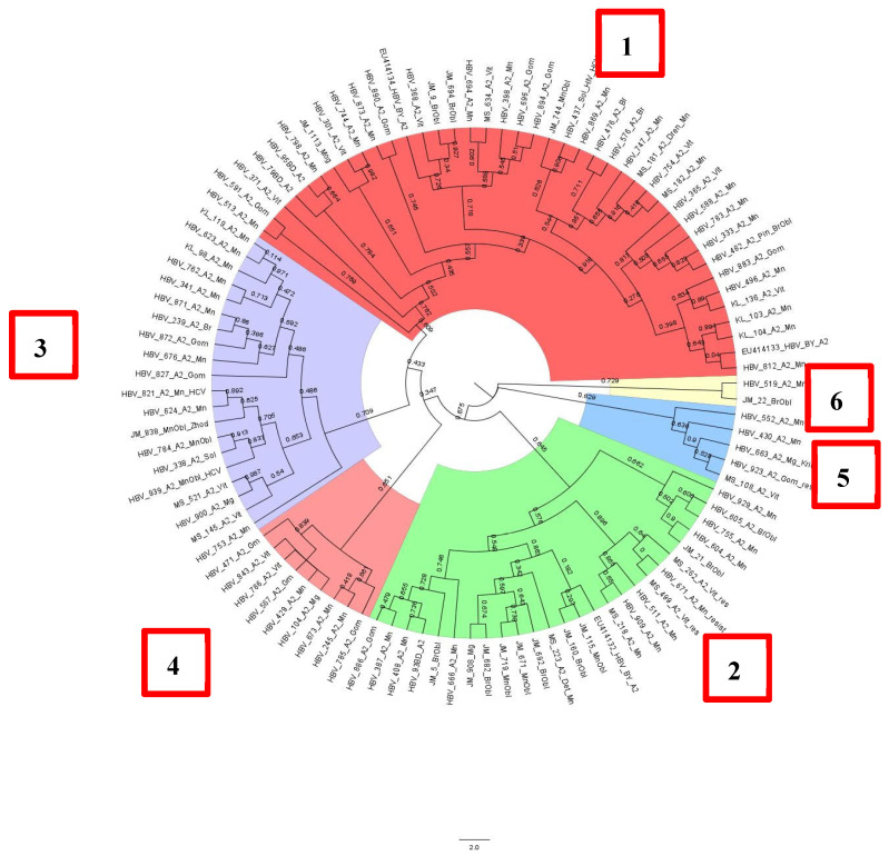 Figure 5