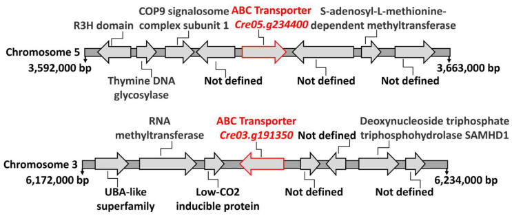 Figure 7