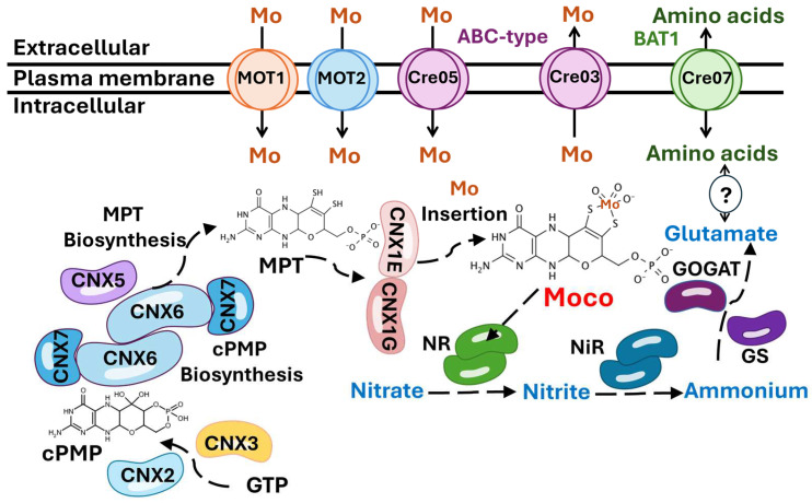 Figure 9