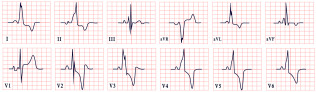 Figure 24