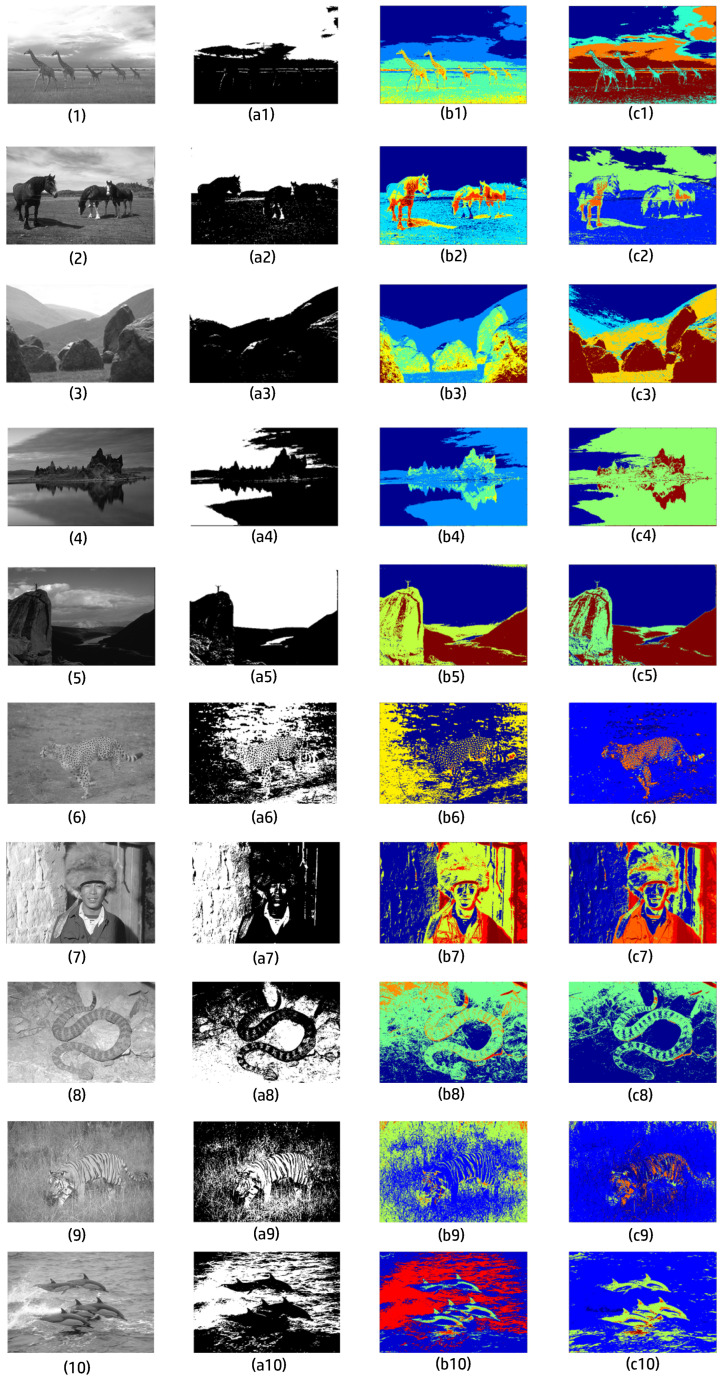 Figure 13
