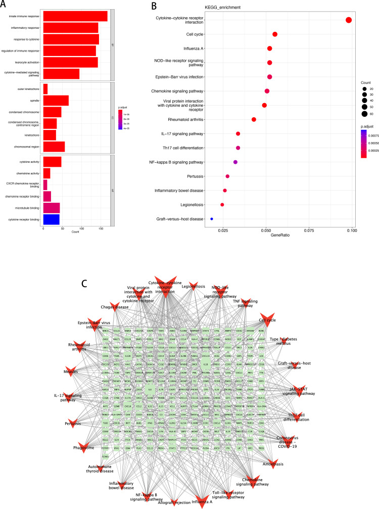 Fig 6