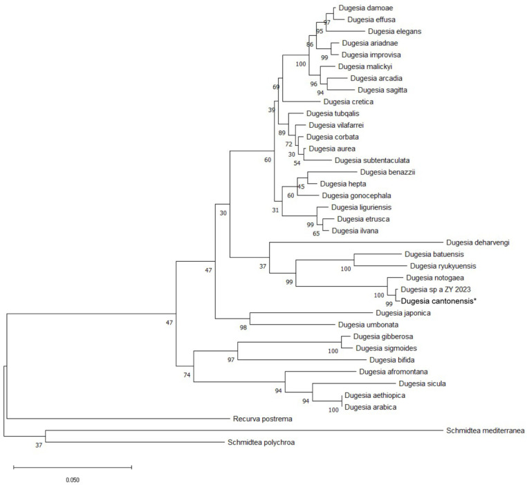 Figure 1