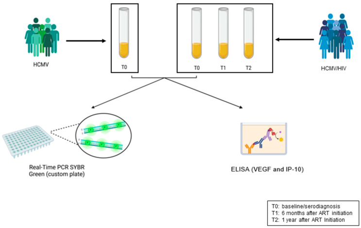 Figure 6