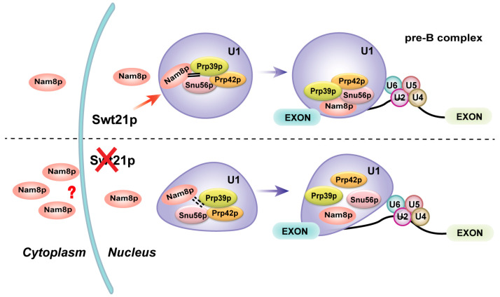 Figure 7