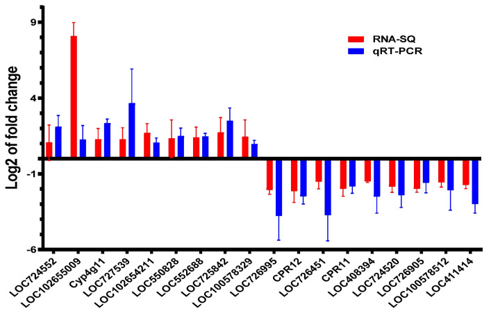 Figure 6
