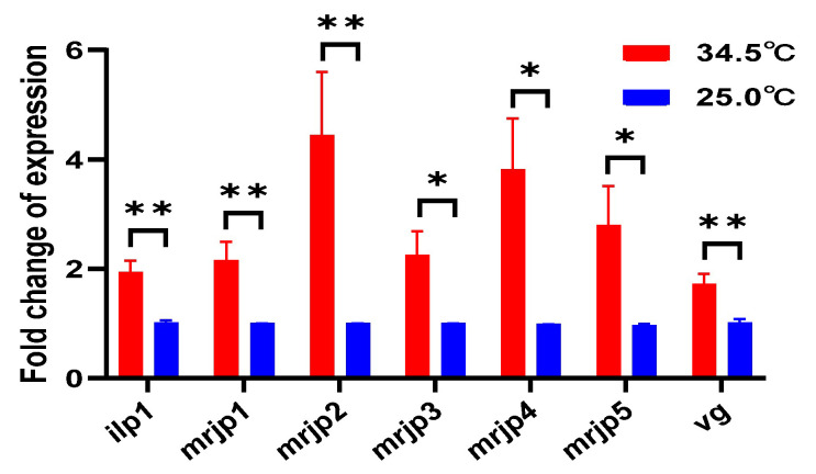Figure 11