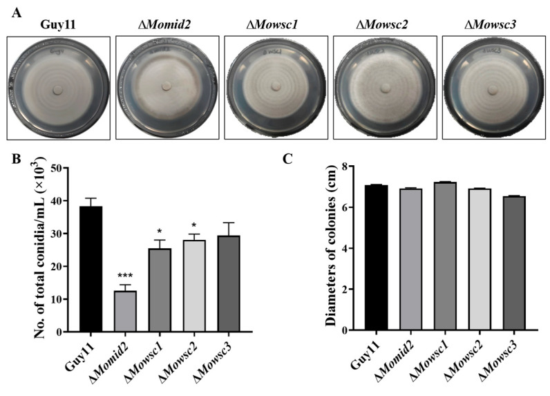 Figure 5