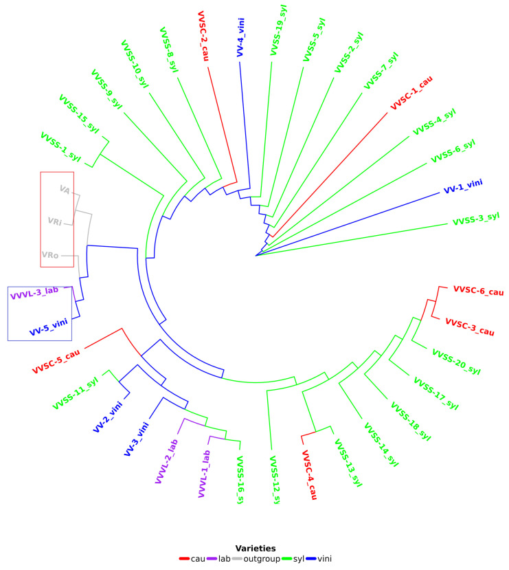 Figure 4