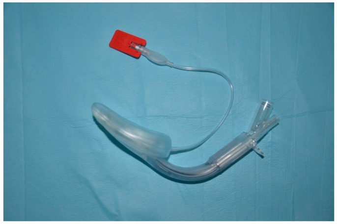 Figure 5