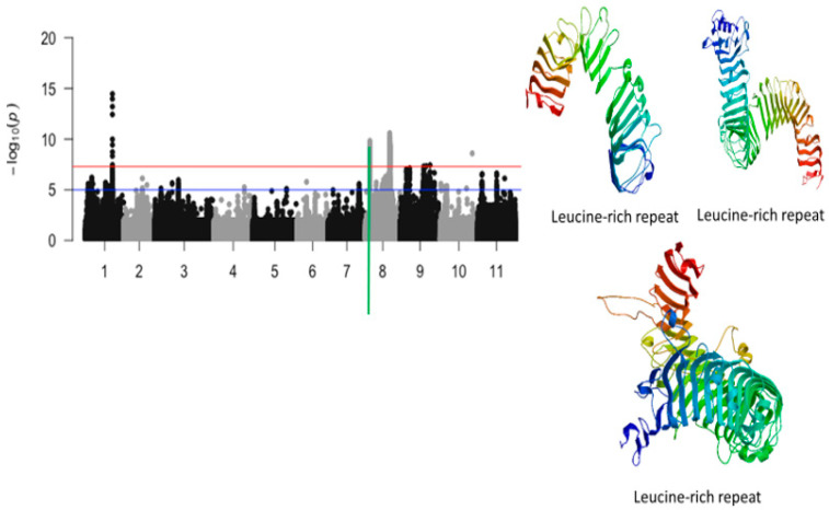 Figure 6