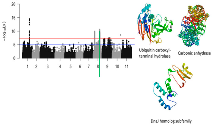 Figure 7
