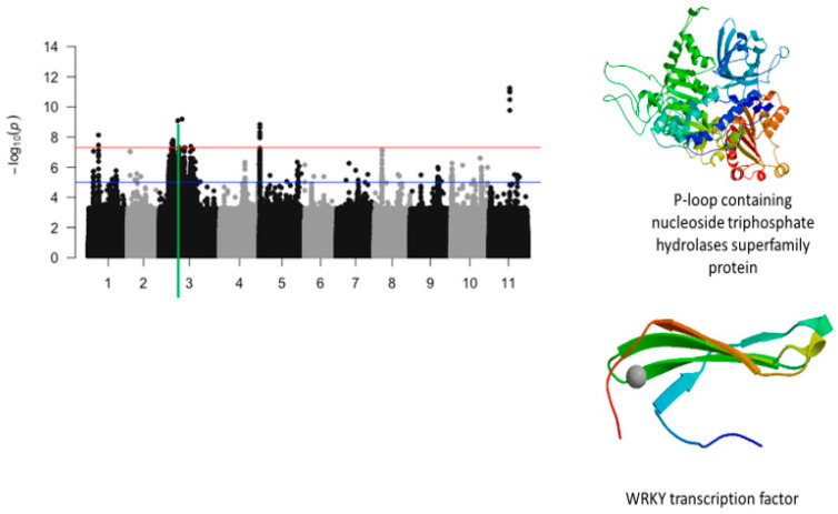 Figure 10