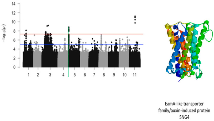 Figure 11