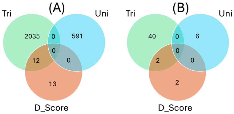 Figure 12