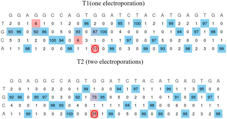 Figure 7